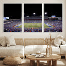 Buffalo Bills Wall Art - Buffalo Bills Stadium Canvas Print,