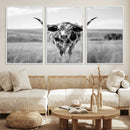Texas Cow Longhorn Wall Art Canvas Print for Farm House Wall