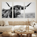 Texas Cow Longhorn Wall Art Canvas Print in Black and White