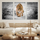 Jaguar Wall Art Canvas Print - Majestic Big Cat in Focused by MyGreatCanvas | Canvas Wall Art Prints | Photo Prints & Wall Decor
