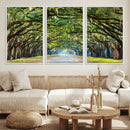 Wormsloe State Plantation Driveway Wall Art Canvas Print by MyGreatCanvas | Canvas Wall Art Prints | Photo Prints & Wall Decor