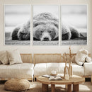 Resting Grizzly Bear Wall Art Canvas Print – Majestic Lazy by MyGreatCanvas | Canvas Wall Art Prints | Photo Prints & Wall Decor