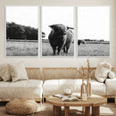 Black and White Highland Cow Wall Art Canvas Print | Rustic