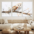 Barn Owl Wall Art on Branch | Stunning Canvas Print for
