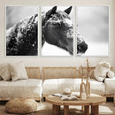 Horse Canvas Print - Winter Horse Snow Wall Art Canvas Print by MyGreatCanvas | Canvas Wall Art Prints | Photo Prints & Wall Decor