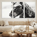 Framed Black and White Horse Wall Art | Ready to Hang and by MyGreatCanvas | Canvas Wall Art Prints | Photo Prints & Wall Decor