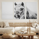 White Horse Wall Art | Ready to Hang and Framed | Winter