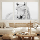 Majestic White Horse Wall Art | Ready to Hang and Framed | by MyGreatCanvas | Canvas Wall Art Prints | Photo Prints & Wall Decor