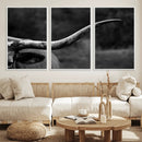 Cow Longhorn Wall Art | Black and White Print | Ready to by MyGreatCanvas | Canvas Wall Art Prints | Photo Prints & Wall Decor