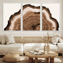 Rustic Wood Rings Wall Art | Nature-Inspired Tree Ring