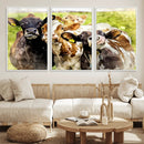 Curious Cows Farmhouse Wall Art | Ready to Hang and Framed