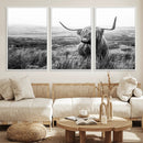 Scottish Highland Cow Wall Art | Black and White Canvas
