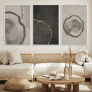 Modern Abstract Tree Ring Canvas Art Set | 3 Panel Large by MyGreatCanvas | Canvas Wall Art Prints | Photo Prints & Wall Decor