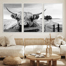 Scottish Highland Cow Wall Art | Rustic Farmhouse Décor |