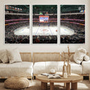 Honda Center California Anaheim Ducks Ice Hockey Stadium