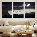 Honda Center California Anaheim Ducks Hockey Stadium Wall