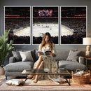 T Mobile Arena Paradise Nevada Vegas Golden Knights Ice