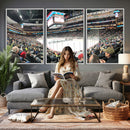 Xcel Energy Center St Paul Minnesota Wild Ice Hockey Stadium