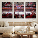 Carolina Hurricanes Ice Hockey Stadium Wall Art, Carolina