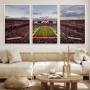 Florida Tampa Raymond James Stadium Wall Art Canvas Print -
