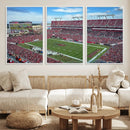 Florida Tampa Raymond James Stadium Wall Art Canvas Print -