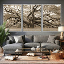 Sepia Framed Angel Oak Tree Wall Art - 3-Panel Canvas