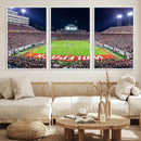 NC State Wolfpack Canvas Print - Raleigh Carter-Finley