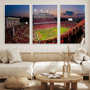 NC State Wolfpack Football Team Print - Raleigh by MyGreatCanvas | Canvas Wall Art Prints | Photo Prints & Wall Decor