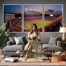 NC State Wolfpack Football Team Print - Raleigh