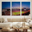 NC State Wolfpack Football Team Print - Raleigh by MyGreatCanvas | Canvas Wall Art Prints | Photo Prints & Wall Decor