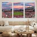 Carter-Finley Stadium Art Sunset Game Triple Canvas Wall Art