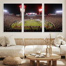 Framed Florida State Seminoles Football Team Print -