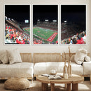 Houston Cougars Football Team Print - Houston TDECU Stadium by MyGreatCanvas | Canvas Wall Art Prints | Photo Prints & Wall Decor