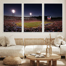 Virginia Cavaliers Football Team Print - Charlottesville