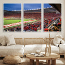 Wisconsin Badgers Football Team Print - Madison Camp Randall by MyGreatCanvas | Canvas Wall Art Prints | Photo Prints & Wall Decor