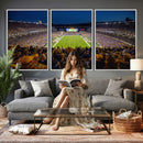 Pittsburgh Panthers Football Team Print - Pittsburgh