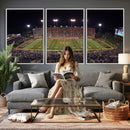 Demon Deacons Print Canvas, Football Team Print -