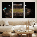 Wake Forest University Demon Deacons Canvas Printi, Football