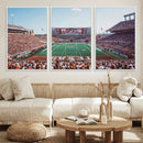 Framed Texas Memorial Stadium Canvas, University of Texas