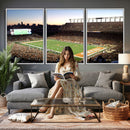 Darrell K Royal-Texas Memorial Stadium Canvas Wall Art -
