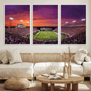 East Carolina University Pirates Football Print Canvas-