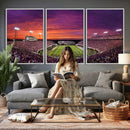 East Carolina University Pirates Football Print Canvas-