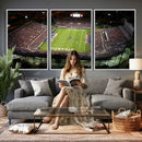 Florida Atlantic University Owls Football Team Print - Boca