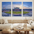 Florida Atlantic University Owls Football Team Print - Boca by MyGreatCanvas | Canvas Wall Art Prints | Photo Prints & Wall Decor