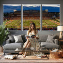 University of Illinois Fighting Illini Football Team Print -