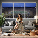 University of Michigan Wolverines Football Team Print - Ann