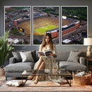 University of Michigan Wolverines Football Team Print - Ann