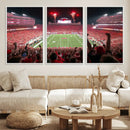 University of Nebraska Cornhuskers Football Team Print -