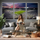 Penn State Nittany Lions Football Team Print - University