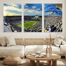 Framed USF Bulls Football Team Print - Tampa Raymond James by MyGreatCanvas | Canvas Wall Art Prints | Photo Prints & Wall Decor